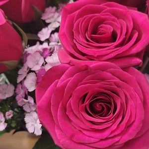 Meet your Posher, Mallory